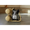 Ingersoll Rand P1IU-A9 2 HP portable twin-stack air compressor – rear view of pump assembly and stacked air tanks